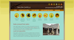 Desktop Screenshot of capelli-bala-cynwyd.com